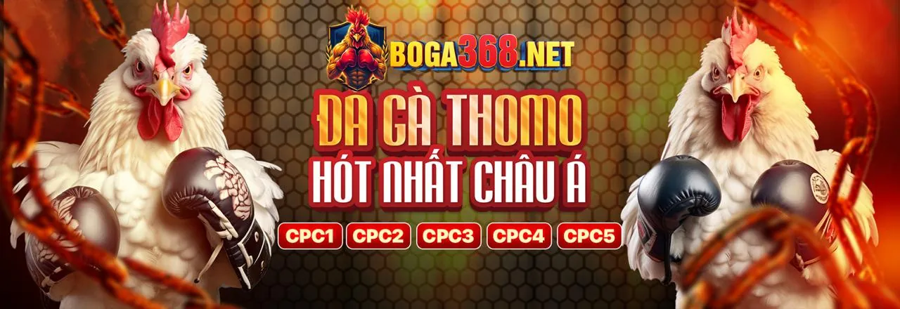 Hình ảnh minh họa cờ bạc có trách nhiệm của cwin06